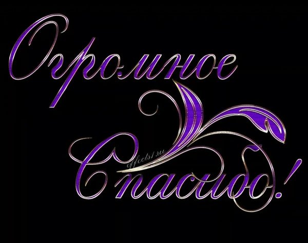 слово благодарность на прозрачном фоне