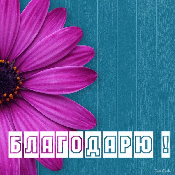 с благодарностью открытки