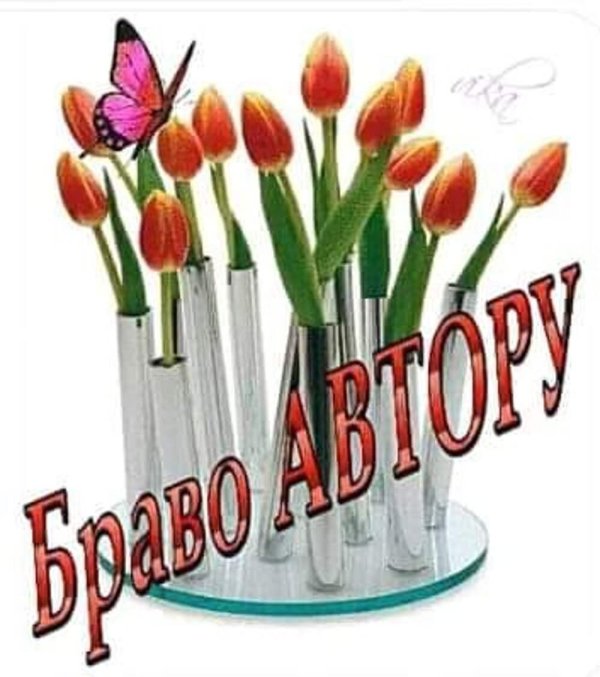 браво автору