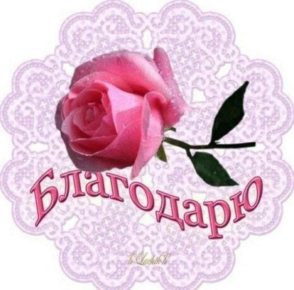 благодарственная открытка
