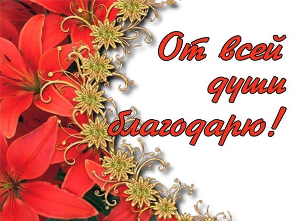 благодарим от всей души