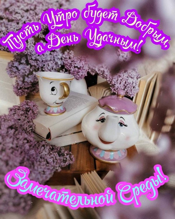 открытки со средой прикольные