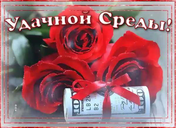 прекрасной среды