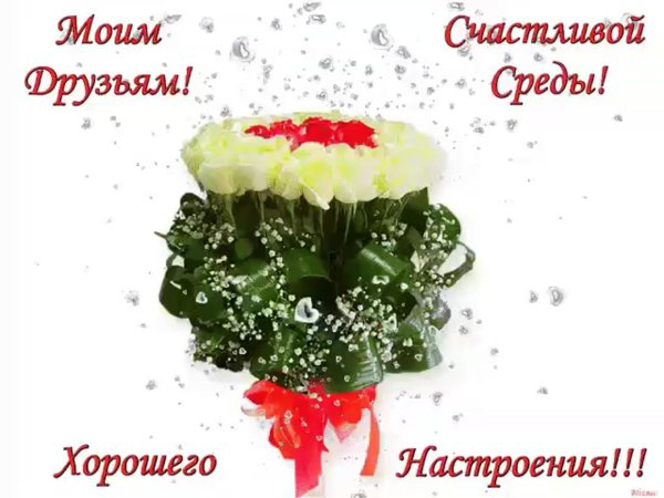 среда хорошего дня и прекрасного настроения