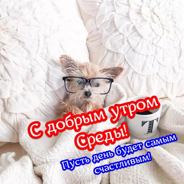 доброе утречко среды прикольные