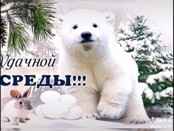 хорошей зимней среды