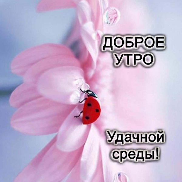 доброе утро волгоград