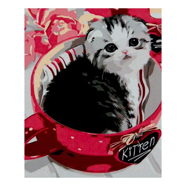 котенок шотландская вислоухая