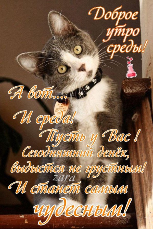 открытка среда