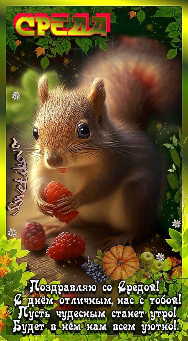 открытки доброй среды