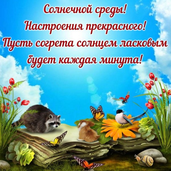 солнечной среды