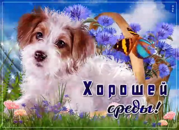 открытки отличной среды