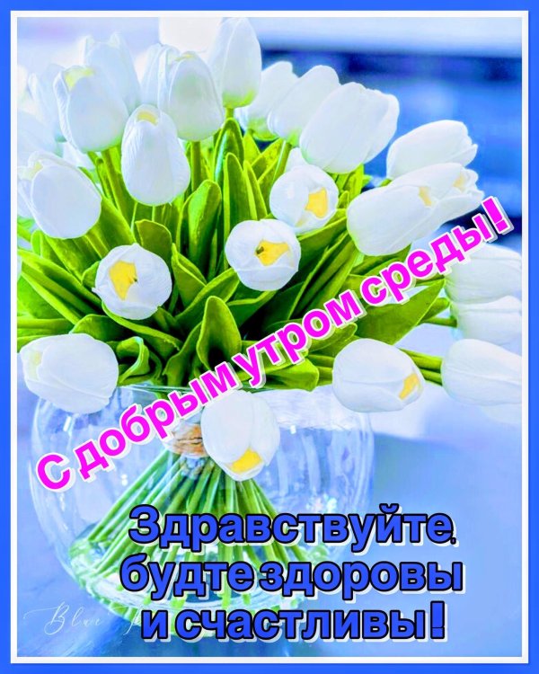 доброе утро весенней среды