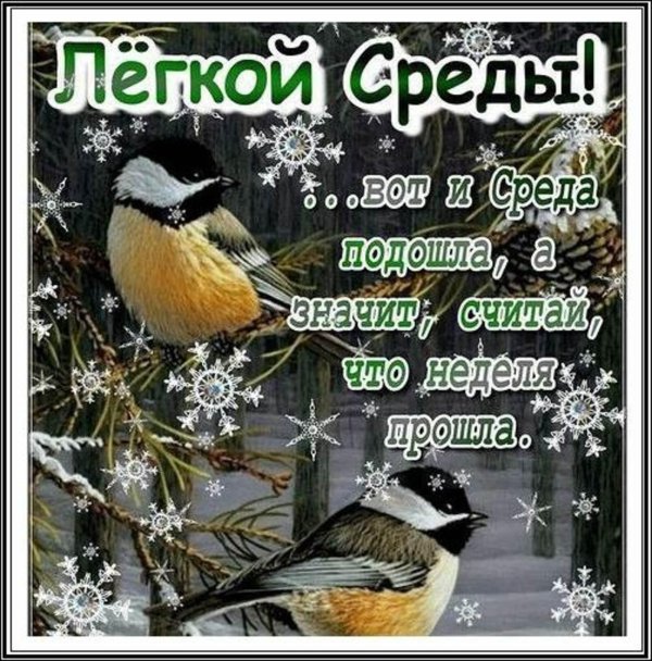 хорошей зимней среды