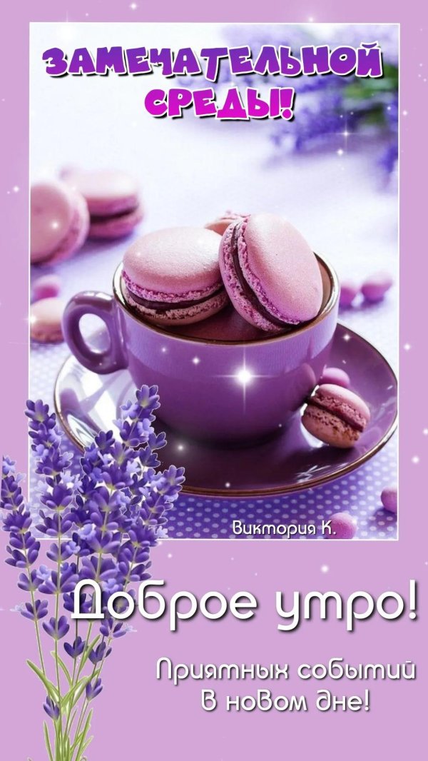 замечательной среды