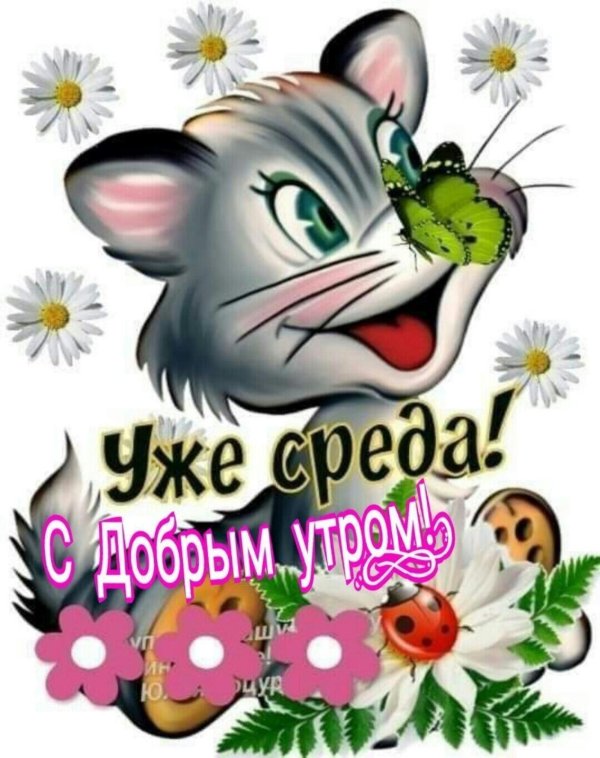 поздравление со средой