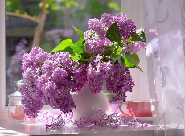 доброе утро с сиренью