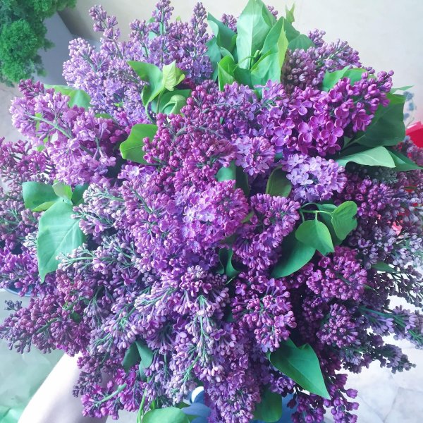 С цветами сирени