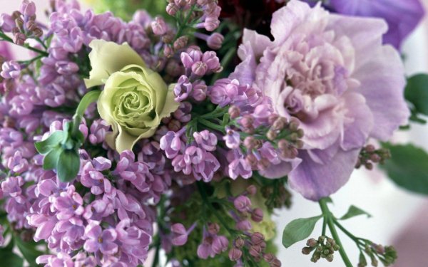букет цветов сиреневый