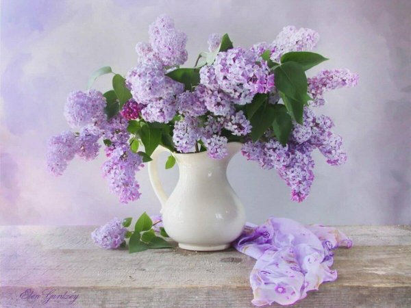 марина филатова фотонатюрморты сирени