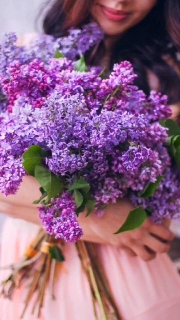 девушка с сиренью