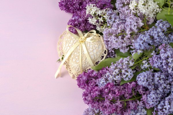 открытка с сиренью