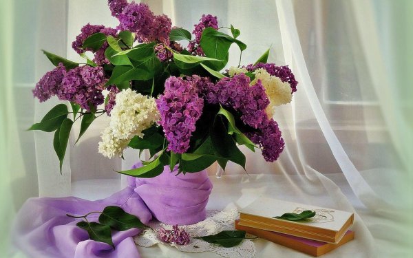 открытка с сиренью