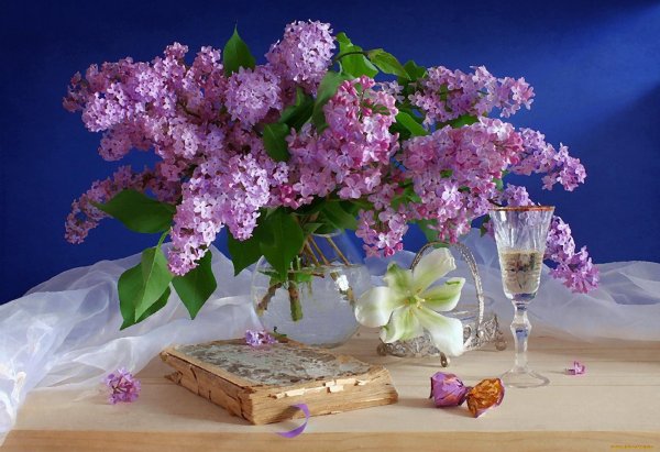 фотонатюрморты с сиренью сергея алексеева