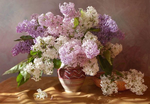 фотонатюрморты с сиренью