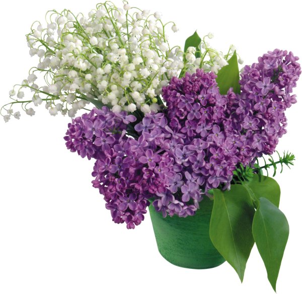 сирень и ландыши