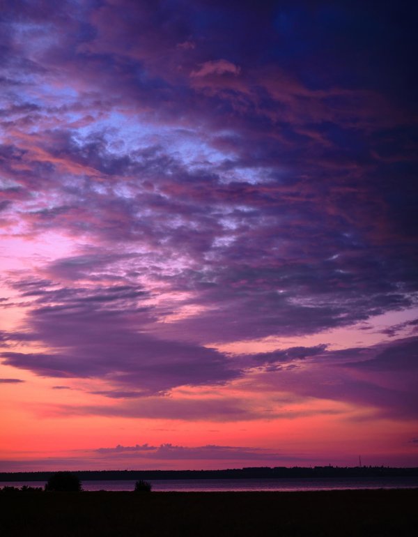 розовые закаты