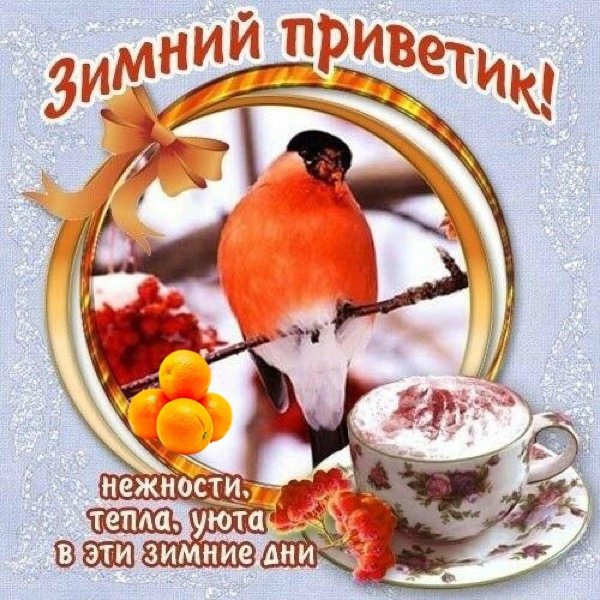 доброго утра и хорошего дня зимние