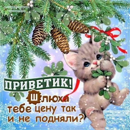 открытка хорошего настроения зимняя