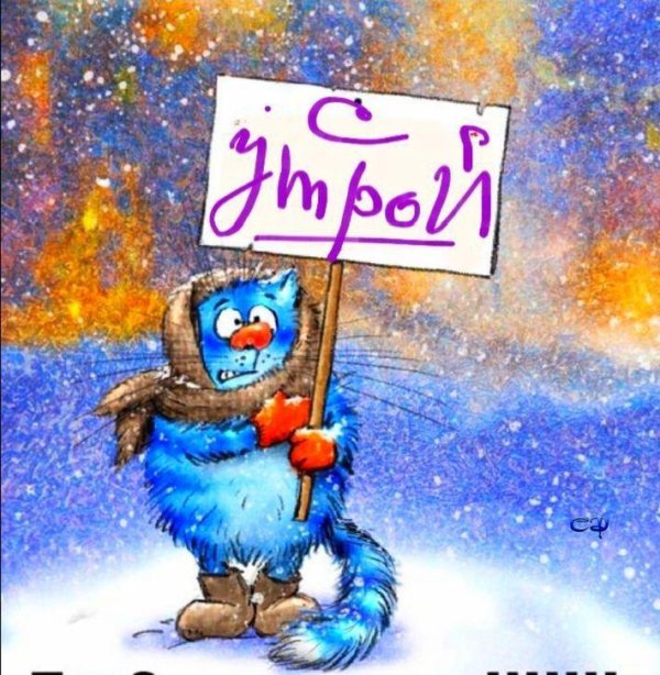 синие коты рины зенюк