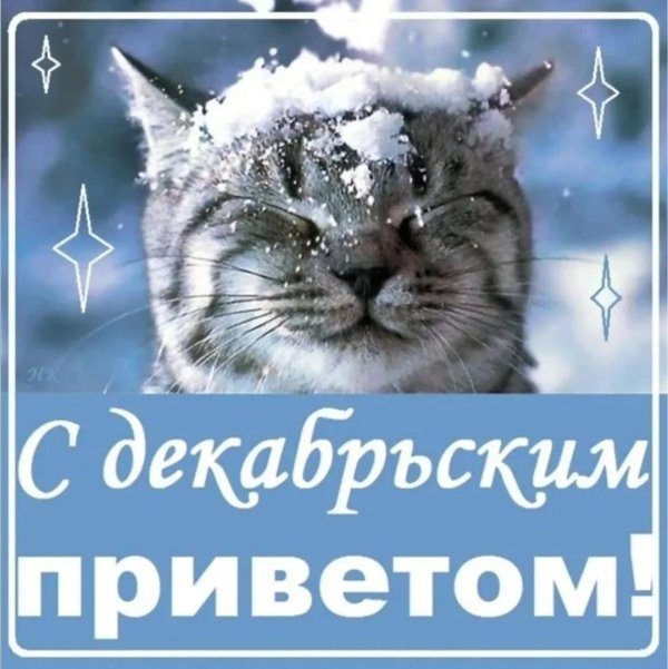 снежного утра