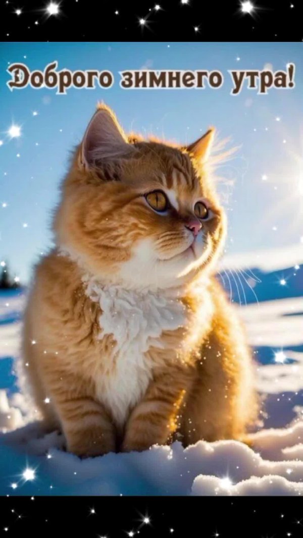 доброе утро зимнее позитивные