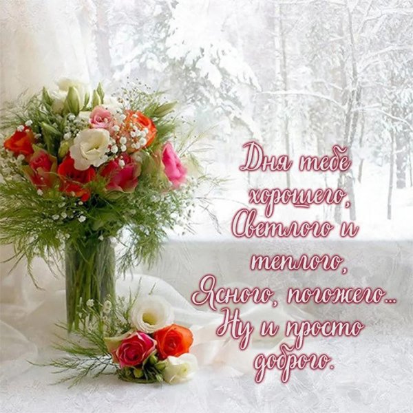 букет на зимнем окне