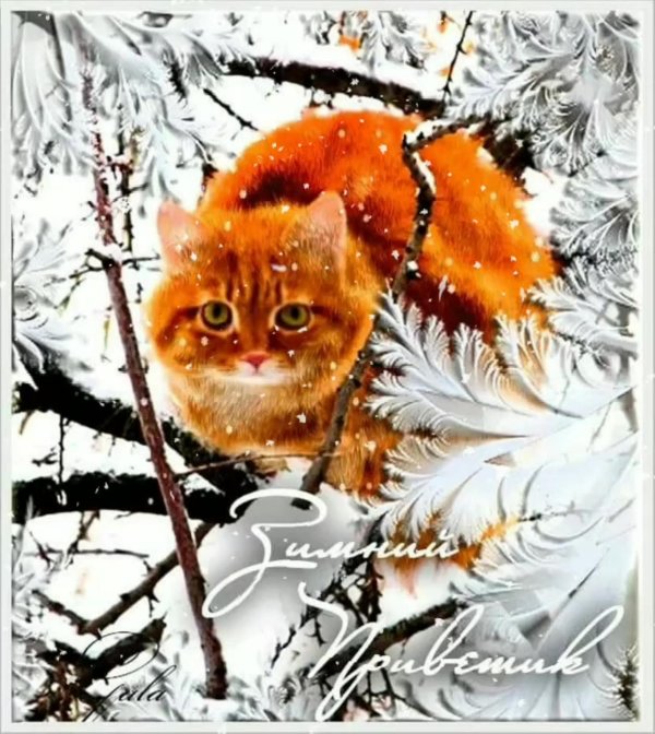 доброго снежного утречка