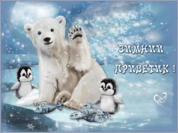 доброго зимнего дня