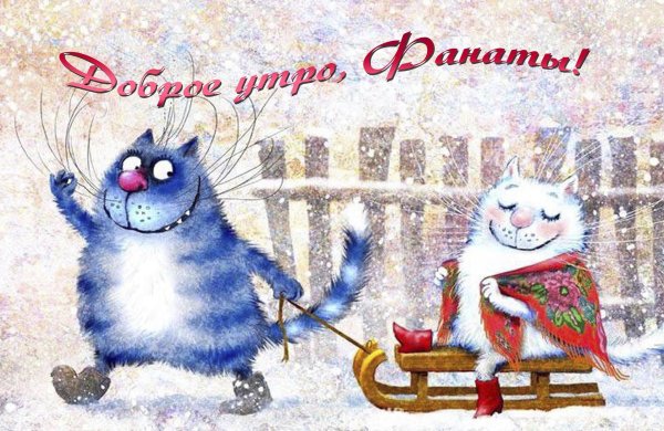 синие коты ирины зенюк