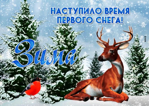 зимнее пожелание