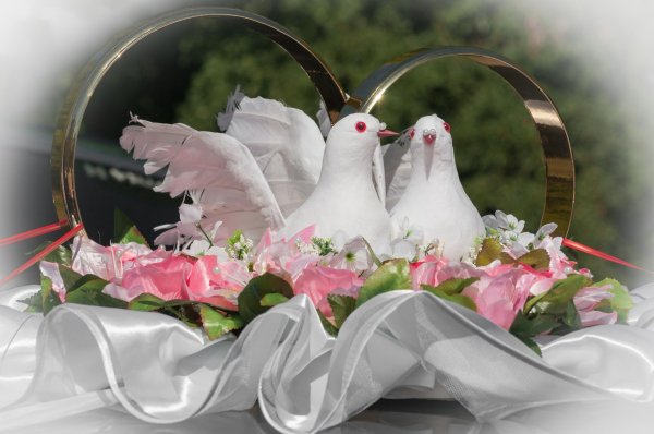 со свадьбой