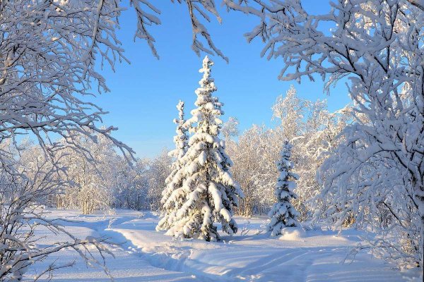 природа зимняя