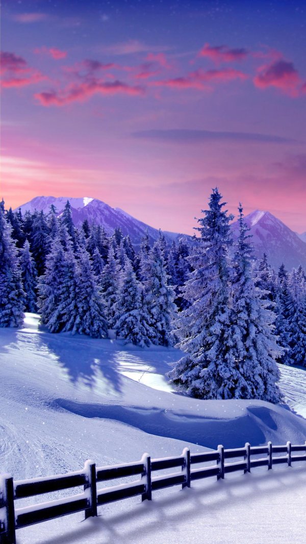 снежные пейзажи