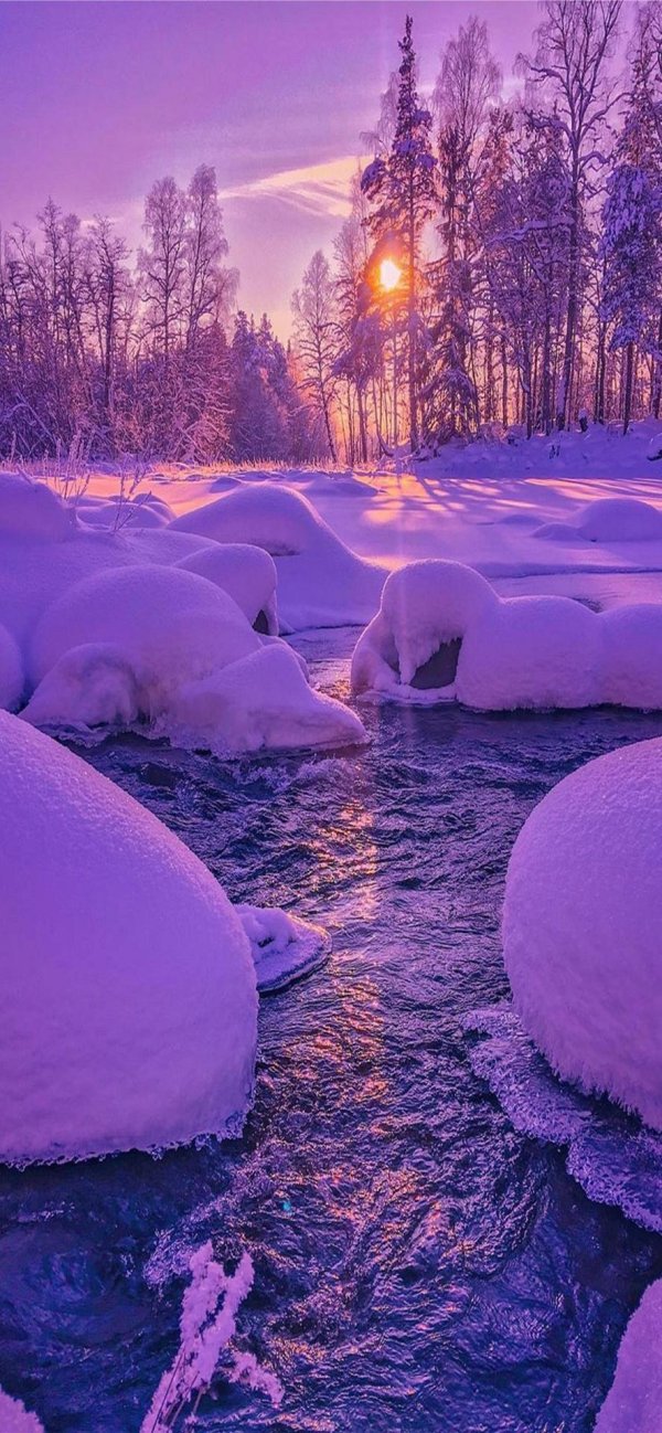 природа зимняя