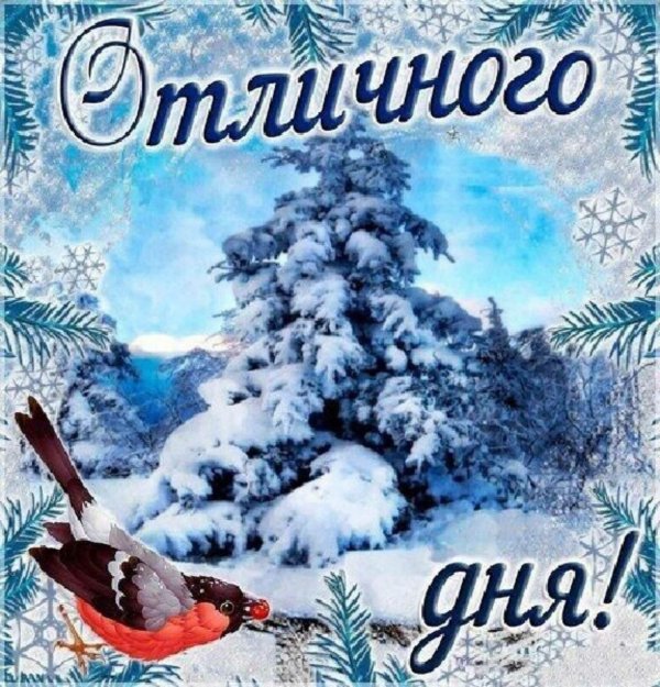 доброго зимнего дня