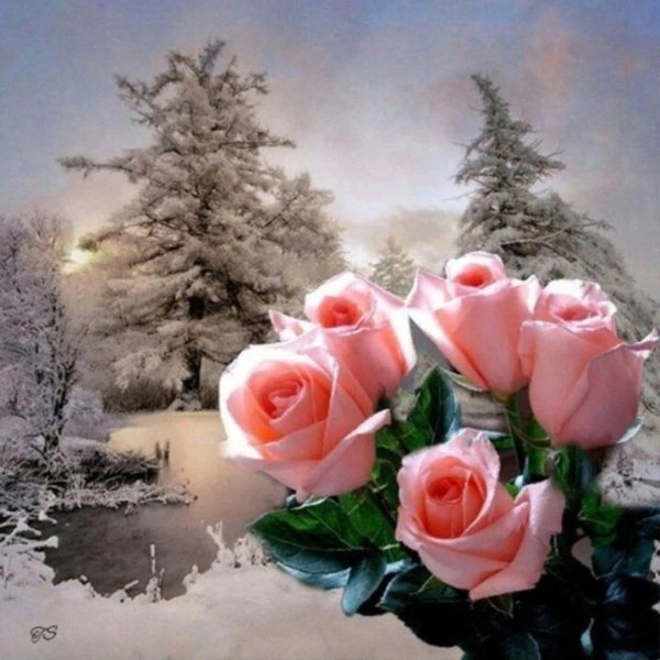 с добрым зимним