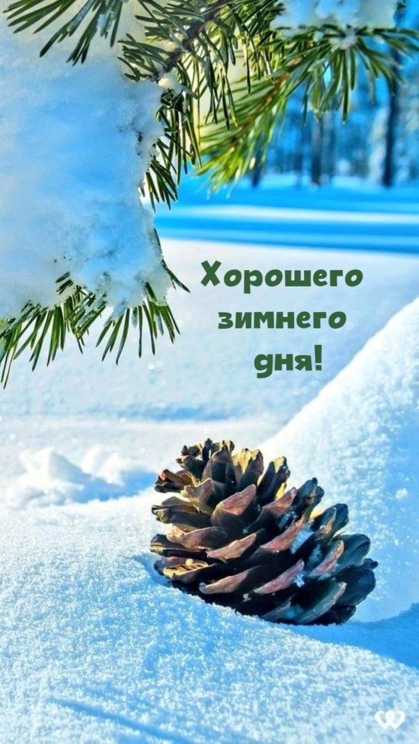 зимнего утра