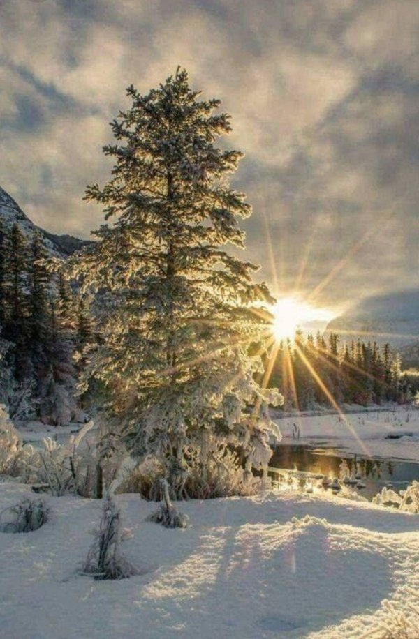 красивые пейзажи зимы