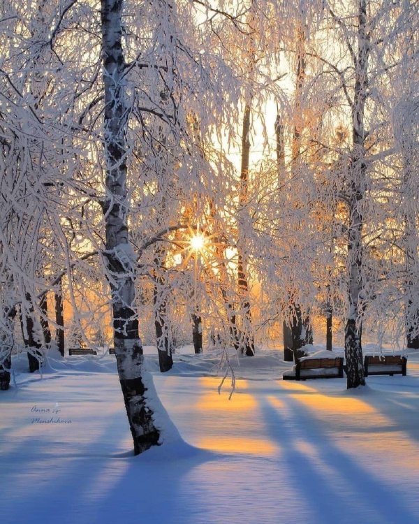 природа зимняя